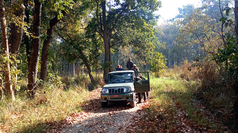 Jeep Safari inside Bardia national park